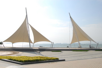 科目三考些什么内容？