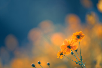 大学社团用英语怎么说比如篮球社魔方社还有社团内社