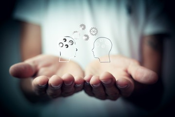 养生壶可以煮鸡鸭鱼汤么