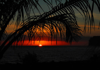 幼儿园托班优秀教案