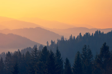 庭院设计风格有哪些