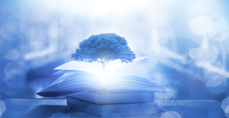 记忆历史知识的有效方法