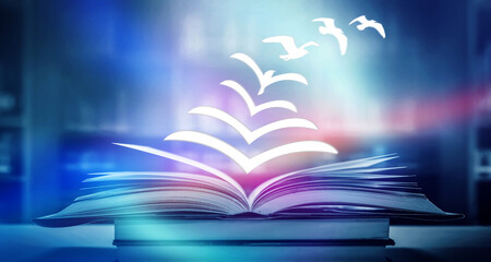 科目三考些什么内容？