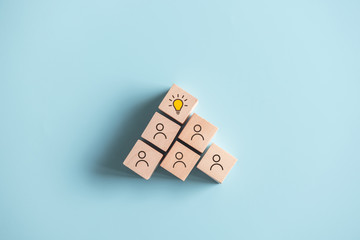 春天都种什么蔬菜-