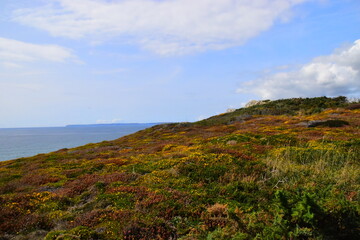 中国银行长城跨境通国际借记卡的特色优势是什么