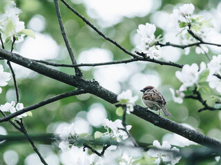 如何让传统文化焕发新的生命力