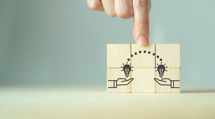 春天都种什么蔬菜-