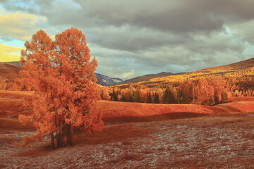 科目三考些什么内容？