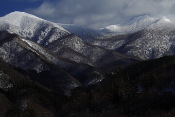 高中生物奥赛训练试题及答案(2)