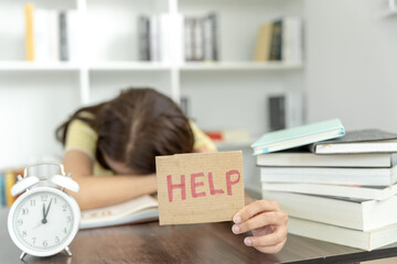 大学生个人自我鉴定