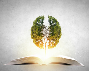 记忆历史知识的有效方法