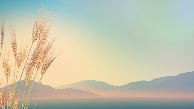 如何让传统文化焕发新的生命力