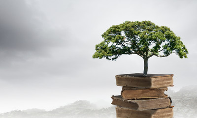 科目三考些什么内容？