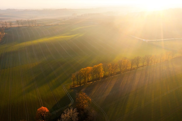 科目三考些什么内容？