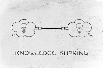 春天都种什么蔬菜-