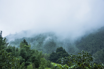 大学生个人自我鉴定