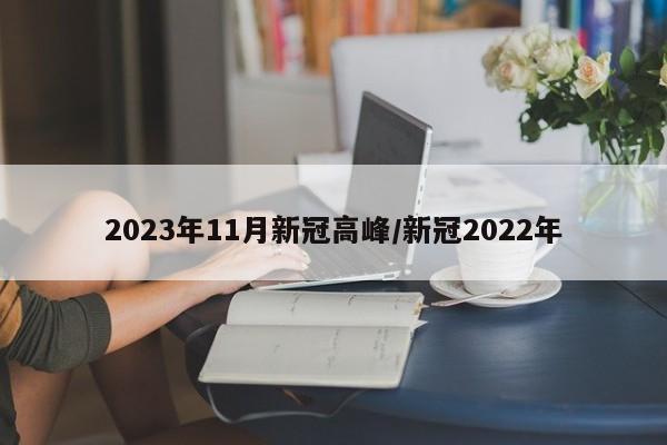 2023年11月新冠高峰/新冠2022年