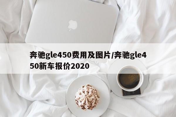 奔驰gle450费用及图片/奔驰gle450新车报价2020