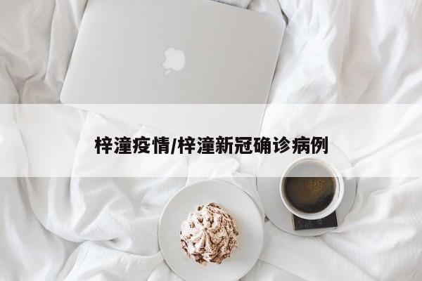 梓潼疫情/梓潼新冠确诊病例