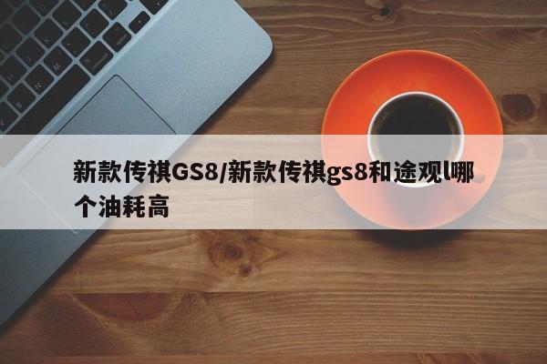 新款传祺GS8/新款传祺gs8和途观l哪个油耗高