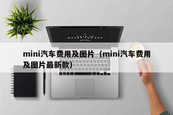 mini汽车费用及图片(mini汽车费用及图片最新款)