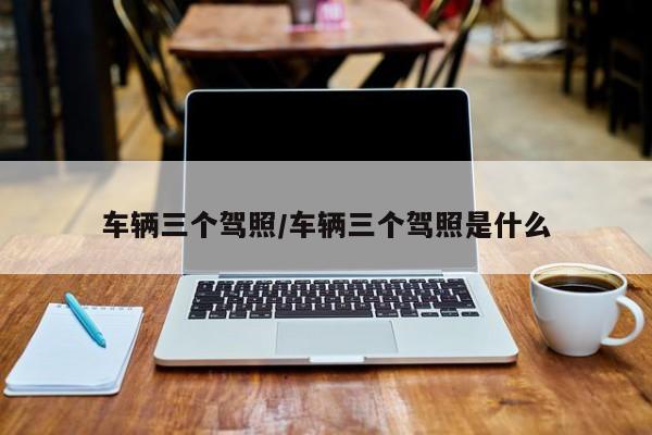 车辆三个驾照/车辆三个驾照是什么
