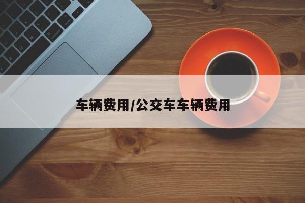 车辆费用/公交车车辆费用