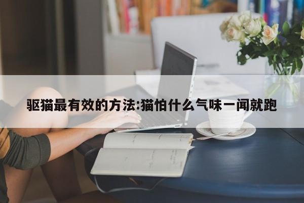 驱猫最有效的方法:猫怕什么气味一闻就跑